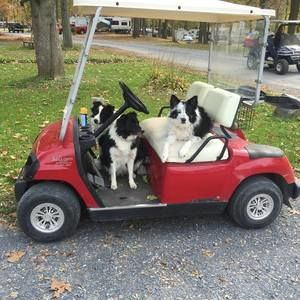 Meet your Posher, Brian